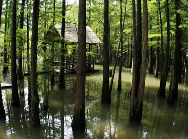 买房可以贷款半年吗