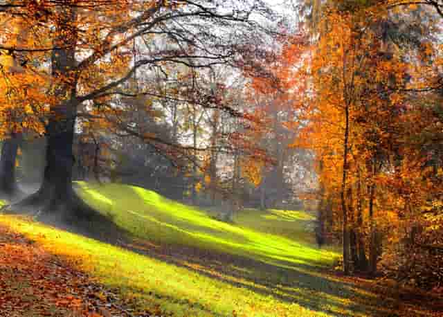 分股股价会降低吗